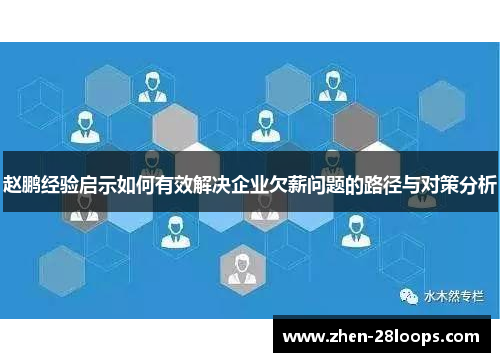 赵鹏经验启示如何有效解决企业欠薪问题的路径与对策分析