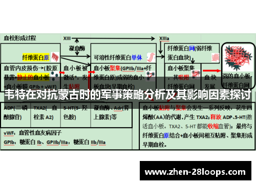韦特在对抗蒙古时的军事策略分析及其影响因素探讨 韦特在对抗蒙古时的军事策略分析及其影响因素探讨
